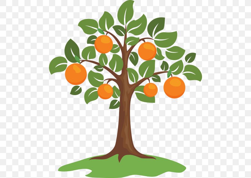 Vector Graphics Royalty-free Clip Art Illustration Tree, PNG, 500x582px, Royaltyfree, Artwork, Branch, Citrus Sinensis, Drawing Download Free