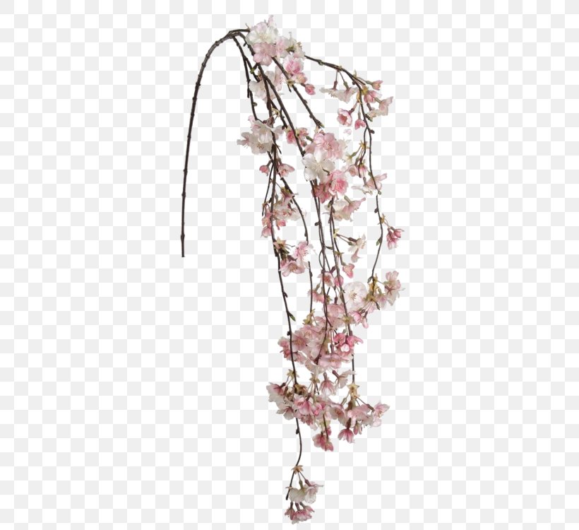 Cherry Blossom Flower Tokyo Ghoul Brazil Floral Design, PNG, 471x750px, Cherry Blossom, Angelica, Blossom, Branch, Brazil Download Free