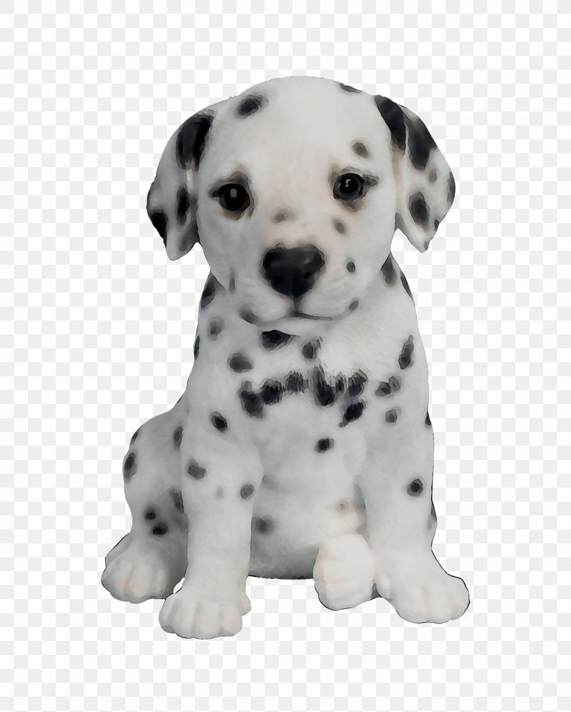 Dalmatian Dog Puppy Border Collie Dog Breed Companion Dog, PNG, 2105x2624px, Dalmatian Dog, Animal Figure, Beagle, Border Collie, Canidae Download Free