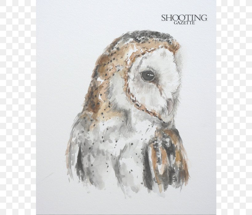 Great Grey Owl Stock Photography Great Horned Owl, PNG, 700x700px, Great Grey Owl, Beak, Bird, Bird Of Prey, Fauna Download Free