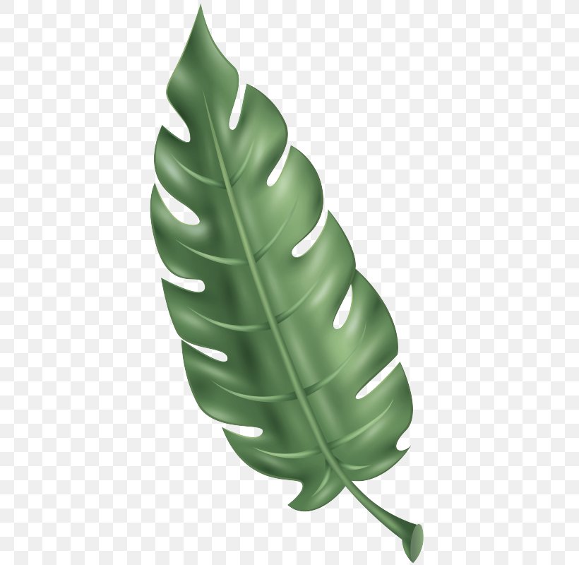 Green Leaf Monstera Deliciosa Finger Plant, PNG, 416x800px, Green, Finger, Leaf, Monstera Deliciosa, Personal Protective Equipment Download Free