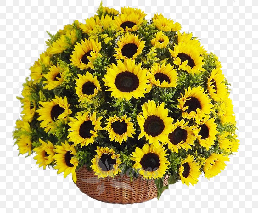 Floristry Floral Design Cut Flowers Food Gift Baskets, PNG, 800x677px, Floristry, Annual Plant, Arrangement, Artificial Flower, Asterales Download Free