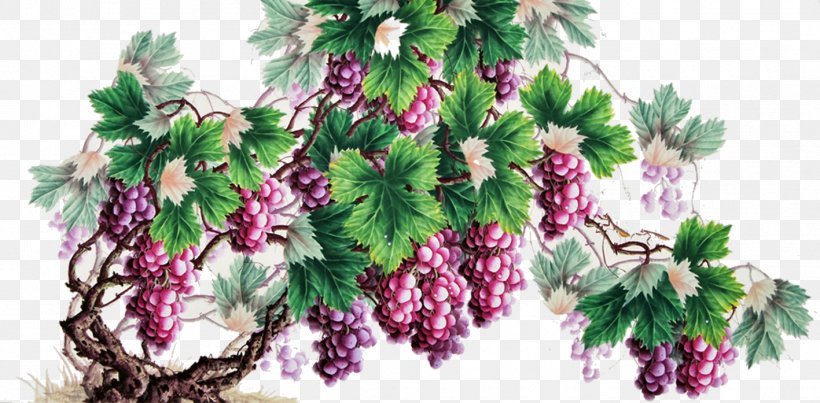 Grape Chinese Painting Fruit, PNG, 1417x697px, Grape, Art, Auglis, Branch, Chinese Painting Download Free