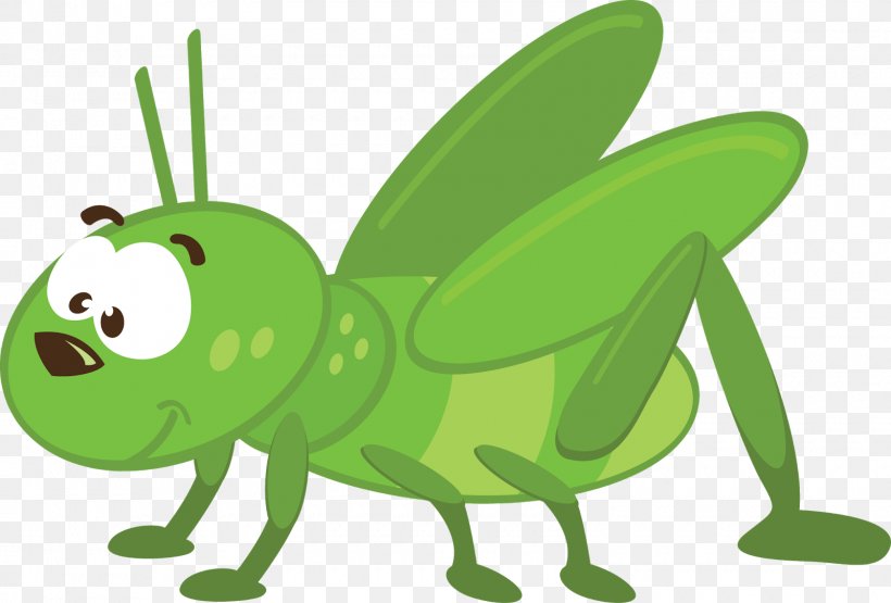 Insect Animation, PNG, 1600x1084px, Insect, Amphibian, Animal, Animation, Caelifera Download Free