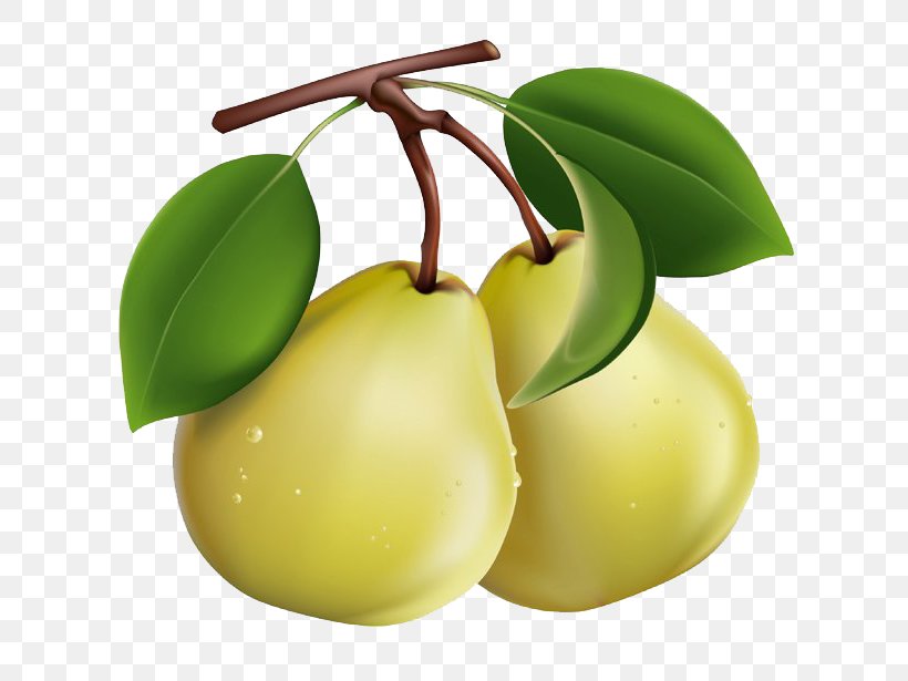 Pear Berry Fruit Clip Art, PNG, 633x615px, Pear, Apple, Berry, Citrus, Food Download Free