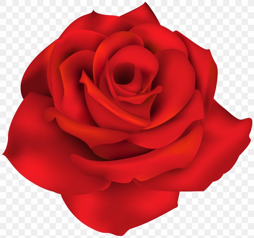 Rose Clip Art, PNG, 8000x7498px, Rose, Art, Blog, China Rose, Cut Flowers Download Free