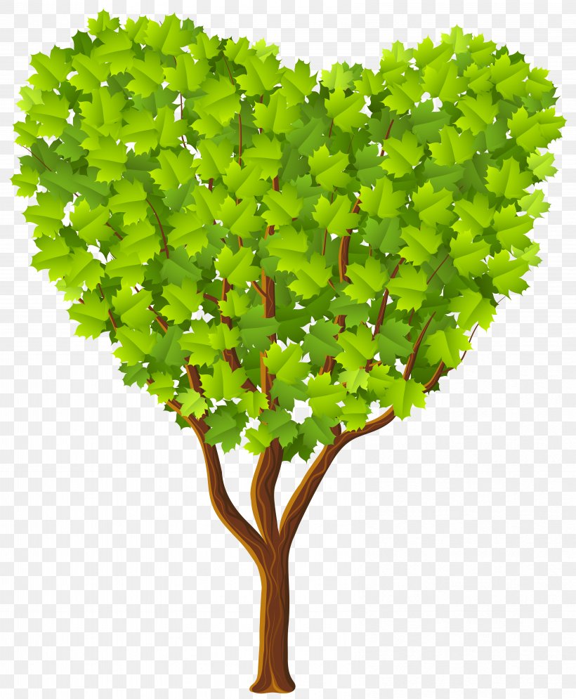 Tree Heart Clip Art, PNG, 6589x8000px, Tree, Arecaceae, Branch, Christmas Tree, Flowerpot Download Free