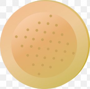 Circular Band Aid - Yellow Material Circle Pattern PNG