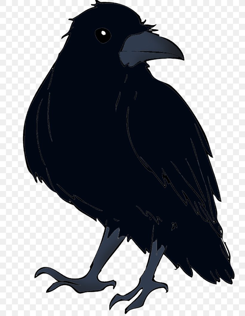 American Crow New Caledonian Crow Rook Common Raven, PNG, 800x1059px, American Crow, Beak, Bird, Black And White, Cartoon Download Free