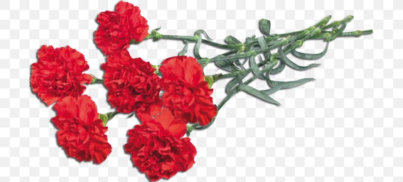 Carnation Ohio Flower Bouquet Clip Art, PNG, 700x371px, Carnation, Artificial Flower, Cut Flowers, Floral Design, Floristry Download Free