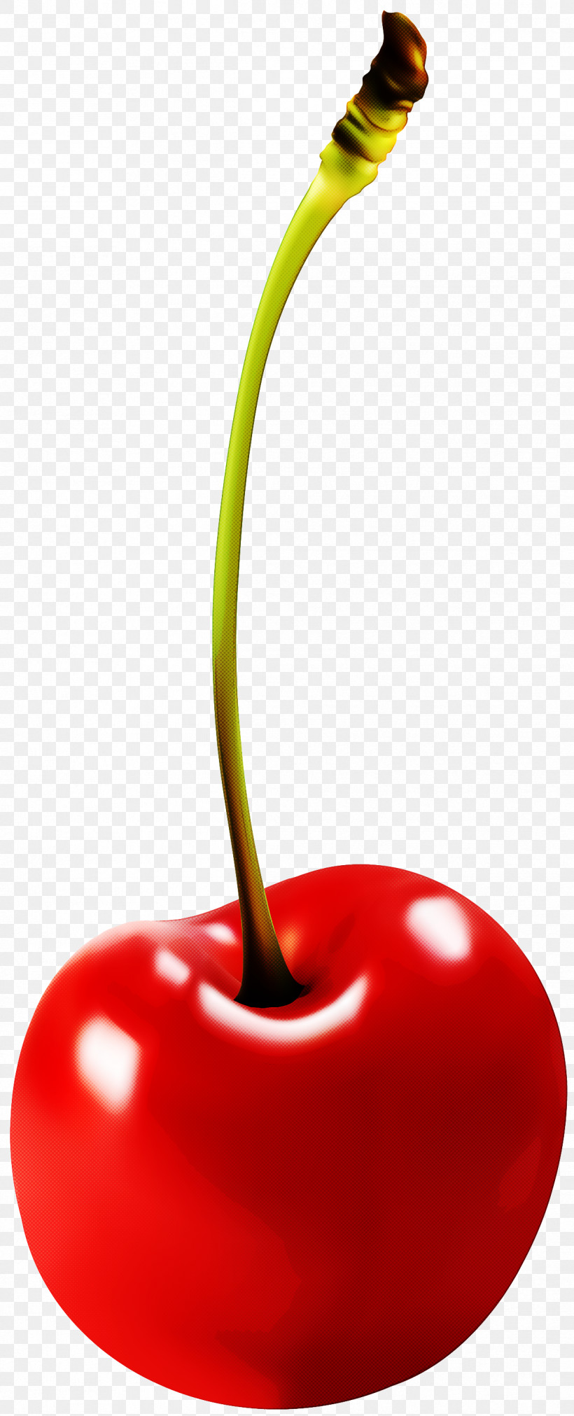 Cherry Red Fruit Plant Food, PNG, 1216x3000px, Cherry, Candy Apple, Drupe, Food, Fruit Download Free