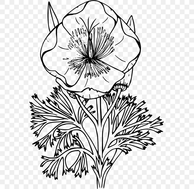California Poppy Remembrance Poppy White Poppy Drawing, PNG, 572x800px, California Poppy, Armistice Day, Artwork, Black And White, Chrysanths Download Free