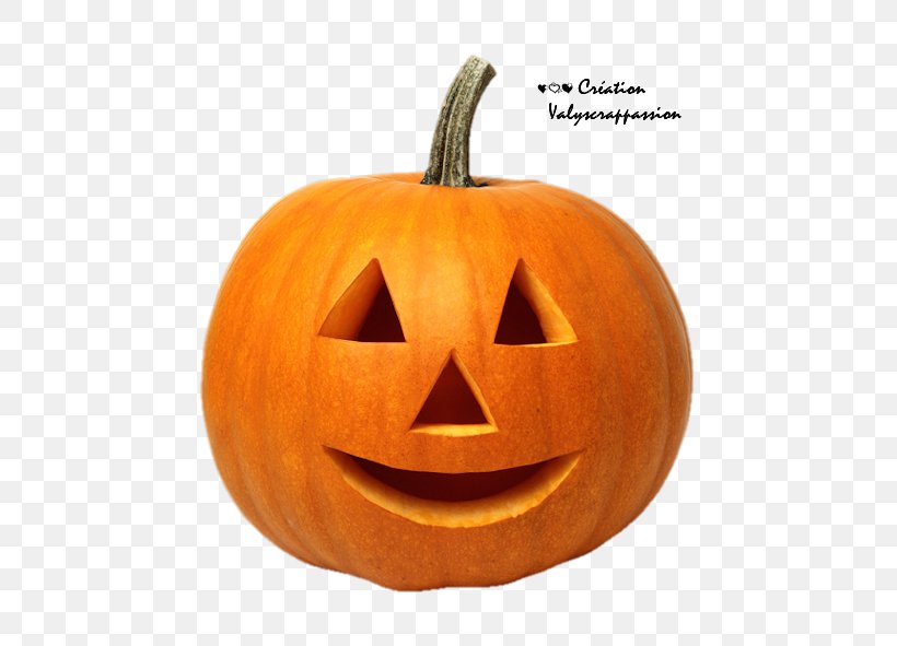 Halloween Pumpkin Pie Jack-o'-lantern Party, PNG, 591x591px, 31 October, Halloween, Calabaza, Carving, Costume Download Free