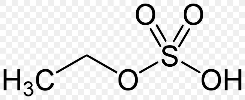 Isovaleraldehyde Methyl Group Ethyl Sulfate Ethyl Glucuronide Nerve Agent, PNG, 1025x420px, Isovaleraldehyde, Acetylcholine, Acid, Area, Black Download Free