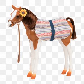 Pinto Horse - Paso Fino Pony Peruvian Paso Foal Lipizzan PNG