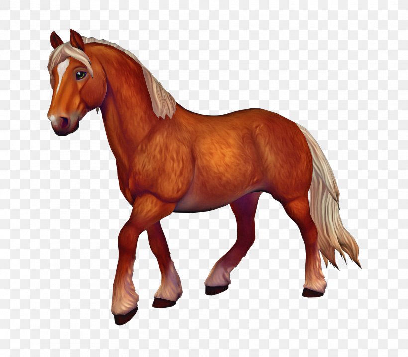Star Cartoon, PNG, 1812x1584px, Star Stable, Akhalteke, Amino Communities And Chats, Animal Figure, Animation Download Free