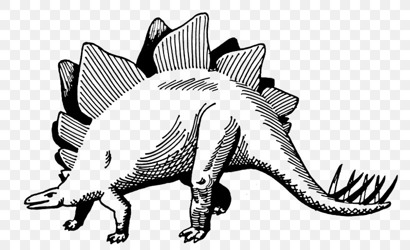 Stegosaurus Dinosaur Drawing Coloring Book Painting, PNG, 800x500px, Stegosaurus, Art, Artwork, Black And White, Book Download Free