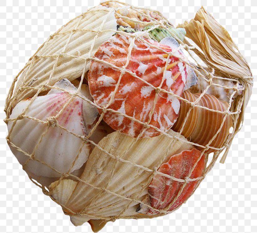 Mussel Clam Oyster Sashimi Food, PNG, 800x743px, Mussel, Basket, Clam, Commodity, Fish Download Free