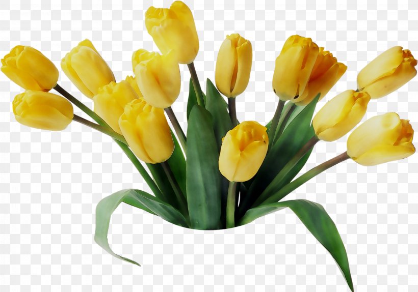 Tulip Floristry Flower Bouquet Cut Flowers, PNG, 3182x2230px, Tulip, Artificial Flower, Birthday, Botany, Bouquet Download Free