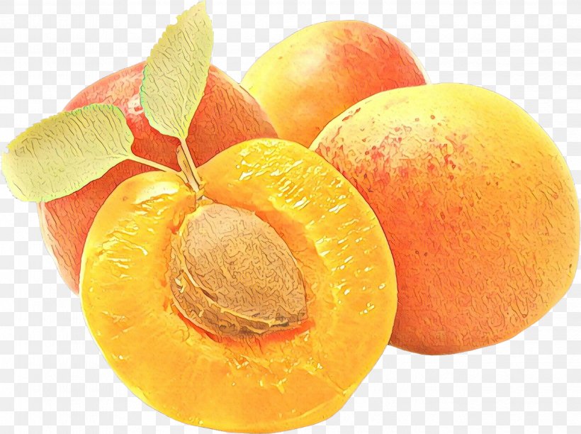 Fruit Cartoon, PNG, 2482x1854px, 1000000, Mandarin Orange, Citric Acid, Citrus, European Plum Download Free