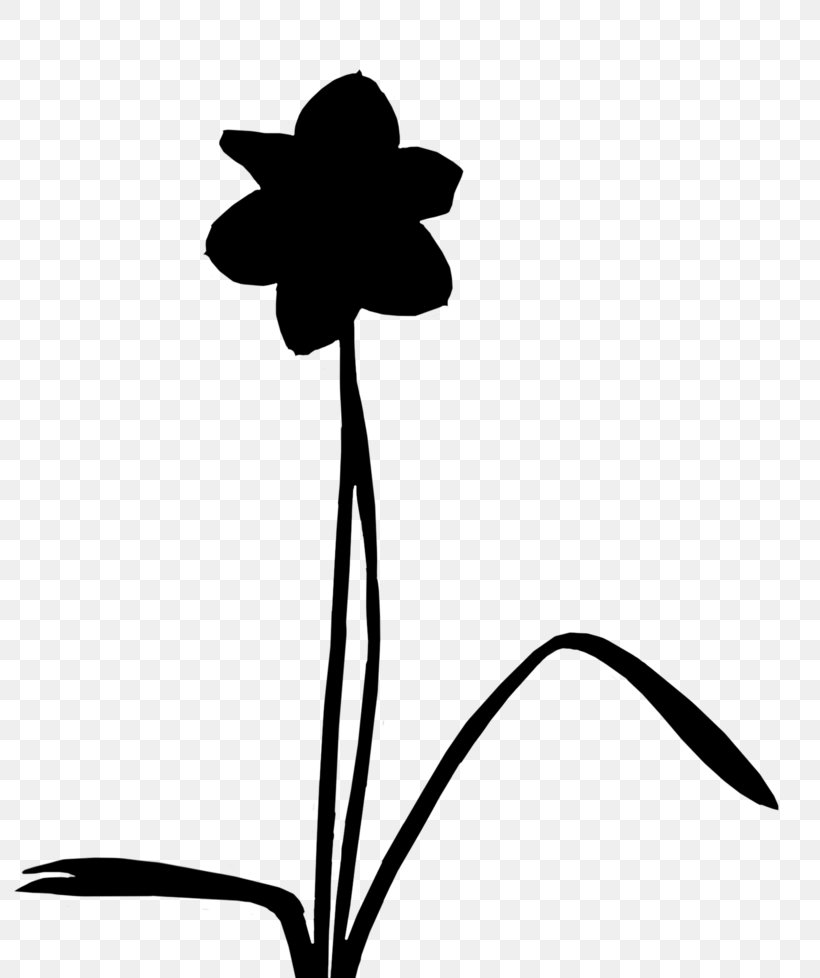 Clip Art Cut Flowers Plant Stem Leaf Line, PNG, 800x978px, Cut Flowers, Blackandwhite, Botany, Flower, Flowering Plant Download Free