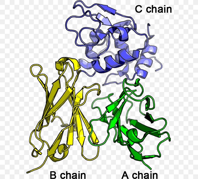 Clip Art Simulation Amino Acid Molecular Dynamics 残基, PNG, 603x739px, Simulation, Amino Acid, Area, Artwork, Flora Download Free