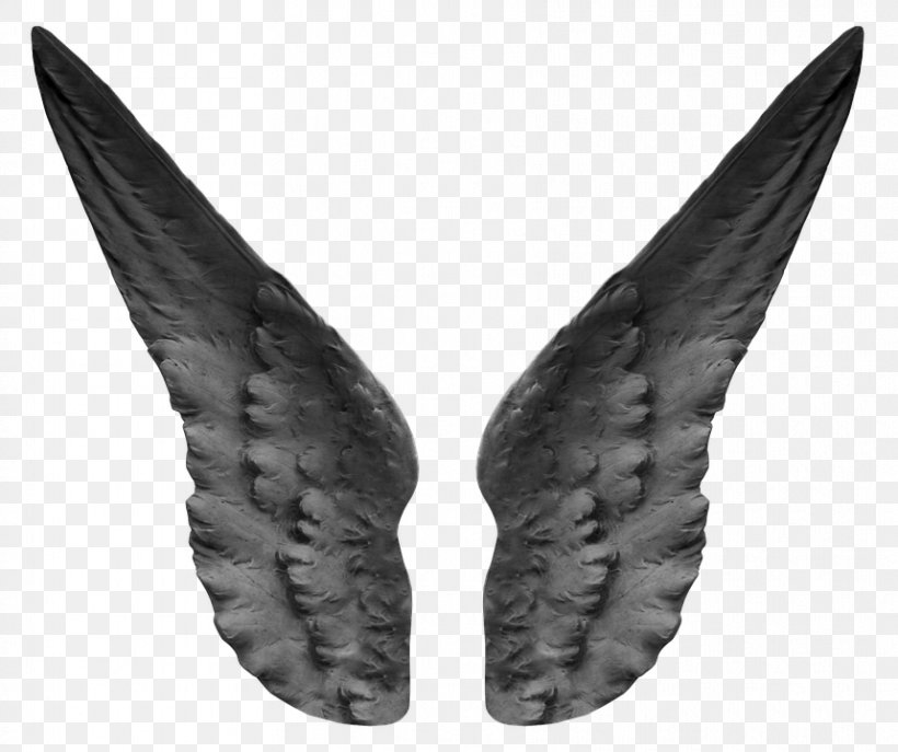 Image Wing Angel Photograph, PNG, 859x720px, Wing, Angel, Art, Black And White, Fairy Download Free