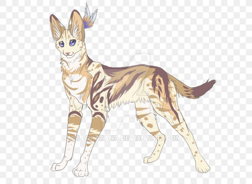 Kitten Sokoke Whiskers Wildcat Domestic Short-haired Cat, PNG, 600x600px, Kitten, Animal, Art, Big Cat, Carnivoran Download Free