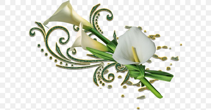Clip Art, PNG, 600x426px, Flower, Calla Lily, Cut Flowers, Dots Per Inch, Flora Download Free