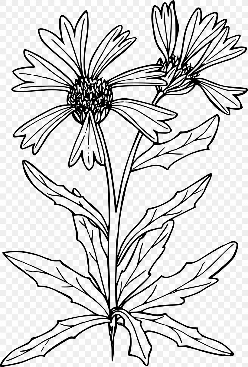 Clip Art, PNG, 1620x2400px, Line Art, Art, Black And White, Flora, Floral Design Download Free