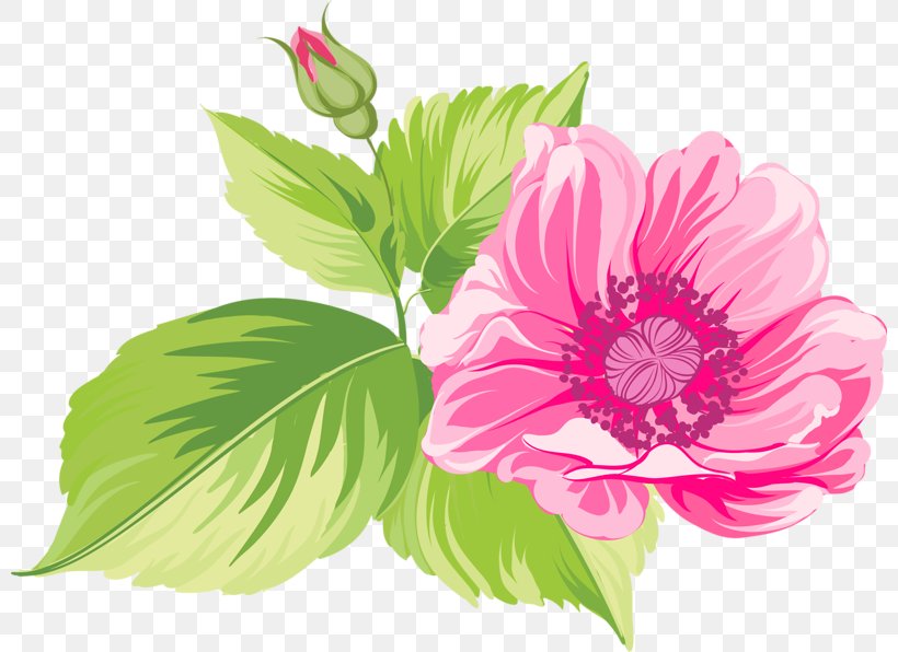 Floral Design Flower Blume Clip Art, PNG, 800x596px, Floral Design, Annual Plant, Blume, Cut Flowers, Drawing Download Free