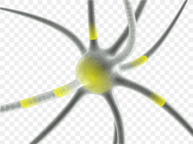 Synapse Neuron Brain Multiple Sclerosis Disease, PNG, 2400x1800px, Synapse, Axon, Brain, Central Nervous System, Disease Download Free