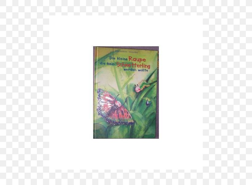 Fauna Zoo Text Organism Butterflies And Moths, PNG, 800x600px, Fauna Zoo, Butterflies And Moths, Fauna, Organism, Text Download Free