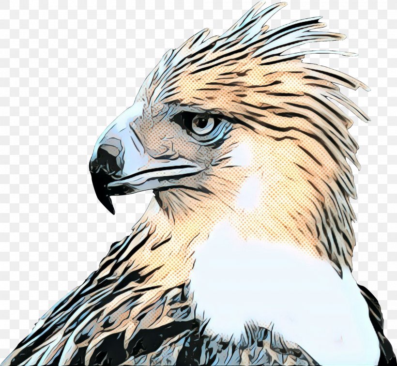 Retro Background, PNG, 2000x1845px, Pop Art, Accipitridae, Bald Eagle, Beak, Bird Download Free