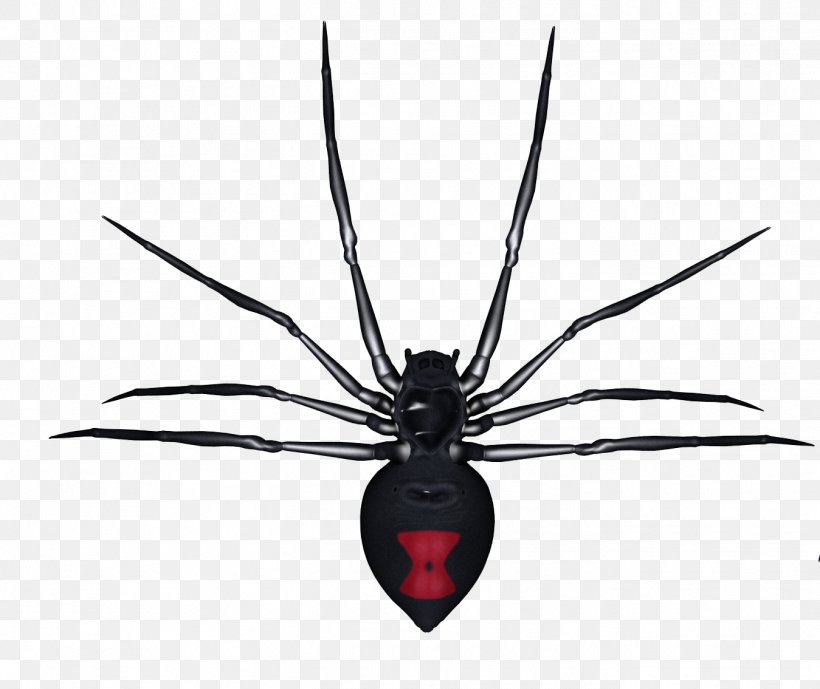 Spider Tarantula, PNG, 1349x1135px, 3d Computer Graphics, Spider, Arachnid, Arthropod, Black And White Download Free