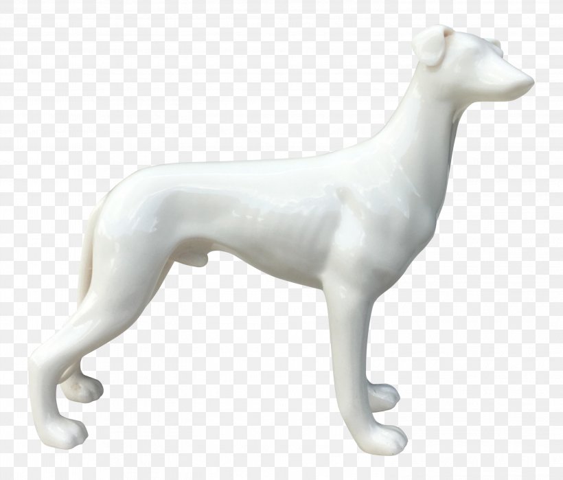 Whippet Italian Greyhound Spanish Greyhound Polish Greyhound, PNG, 2943x2511px, Whippet, Borzoi, Breed, Breed Group Dog, Carnivoran Download Free