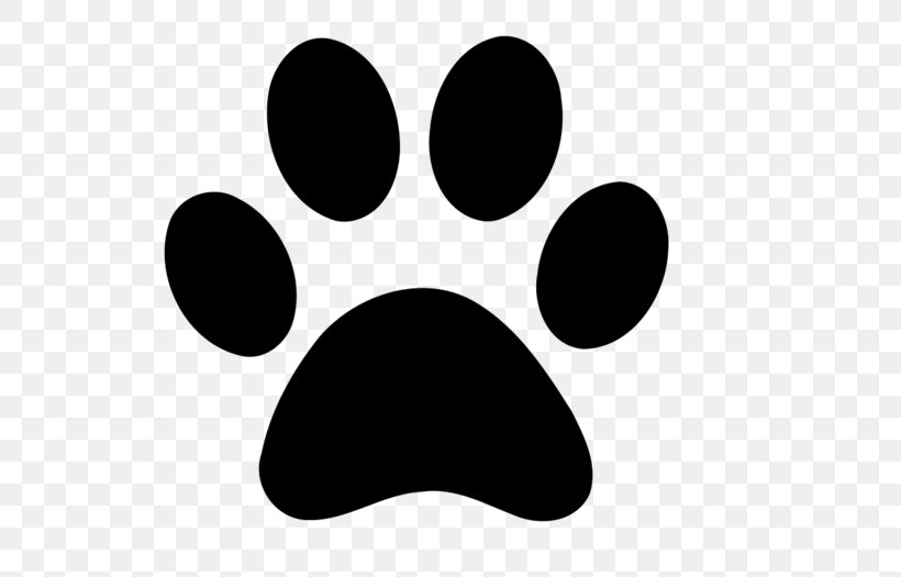 Cougar Dog Cat Paw Clip Art, PNG, 700x525px, Cougar, Bear, Black, Black And White, Cat Download Free
