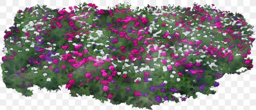 Watercolor Flower Background, PNG, 1280x554px, Watercolor, Annual Plant, Bougainvillea, Chrysanthemum, Dianthus Download Free