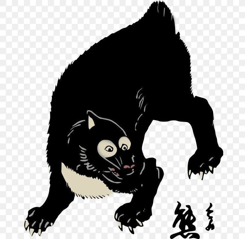 American Black Bear Raccoon Giant Panda Brown Bear, PNG, 674x800px, Bear, American Black Bear, Animal, Black Cat, Brown Bear Download Free