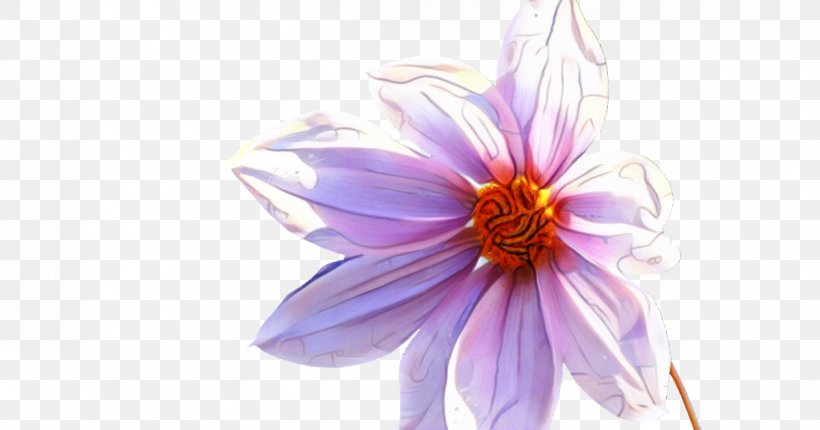 Dahlia Cut Flowers Coneflower Purple Daisy Family, PNG, 1199x630px, Dahlia, Aster, Coneflower, Cut Flowers, Daisy Family Download Free
