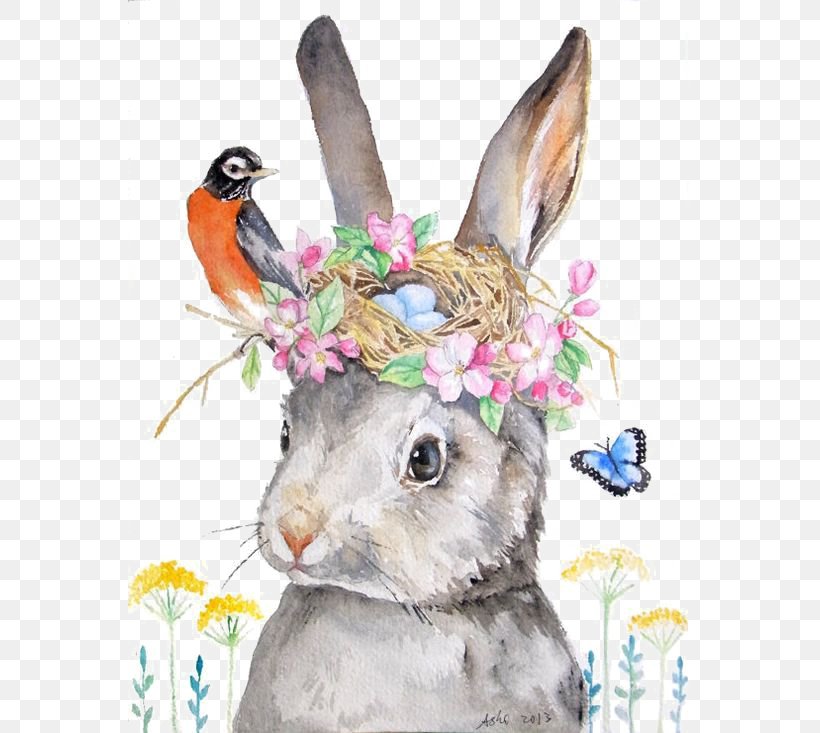 Holland Lop Rabbit Drawing Illustration, PNG, 564x733px, Easter Bunny, Art, Artist, Beak, Domestic Rabbit Download Free