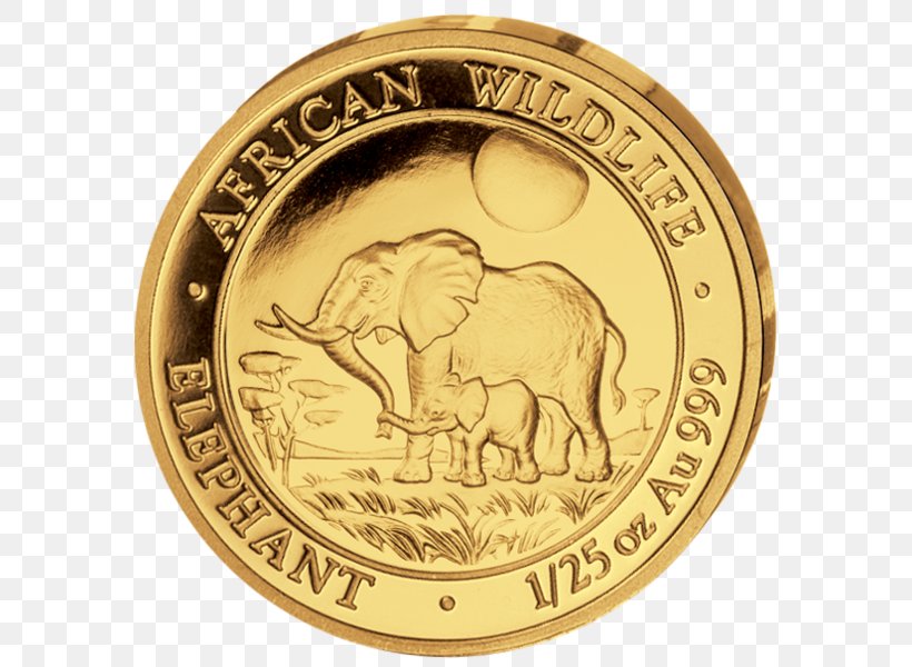 Africa Gold Coin Silver, PNG, 595x600px, Africa, American Buffalo, Bronze Medal, Bullion, Bullion Coin Download Free