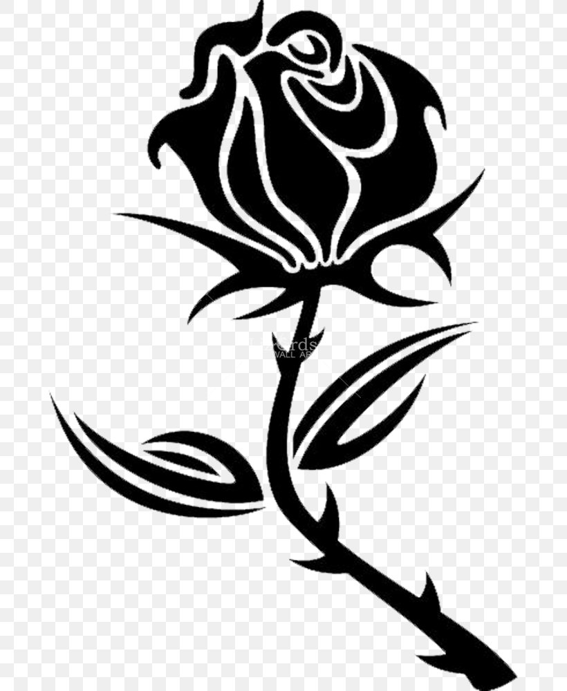 Black Rose Drawing Clip Art, PNG, 680x1000px, Black Rose, Art, Artwork, Black And White, Branch Download Free