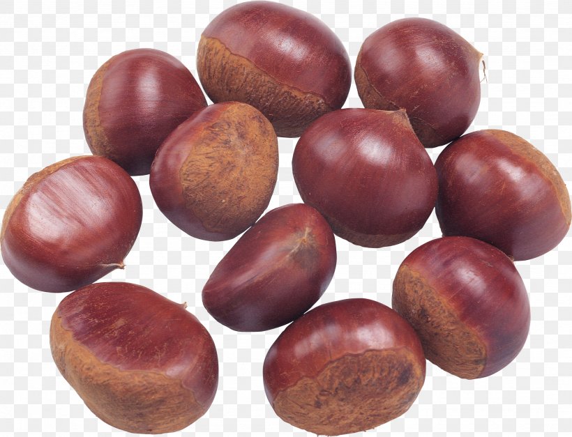 Chinese Chestnut Lidong Food Qianxi County, Hebei, PNG, 2154x1649px, Chinese Chestnut, Bailu, Beech Family, Chestnut, China Download Free