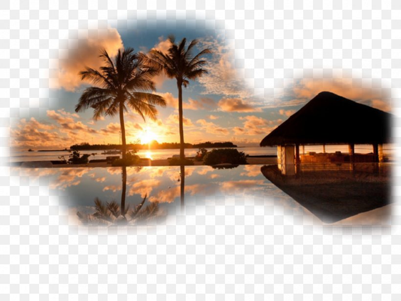 Desktop Wallpaper Photograph Image Sunset Beach, PNG, 980x735px, Sunset, Arecales, Beach, Calm, Caribbean Download Free
