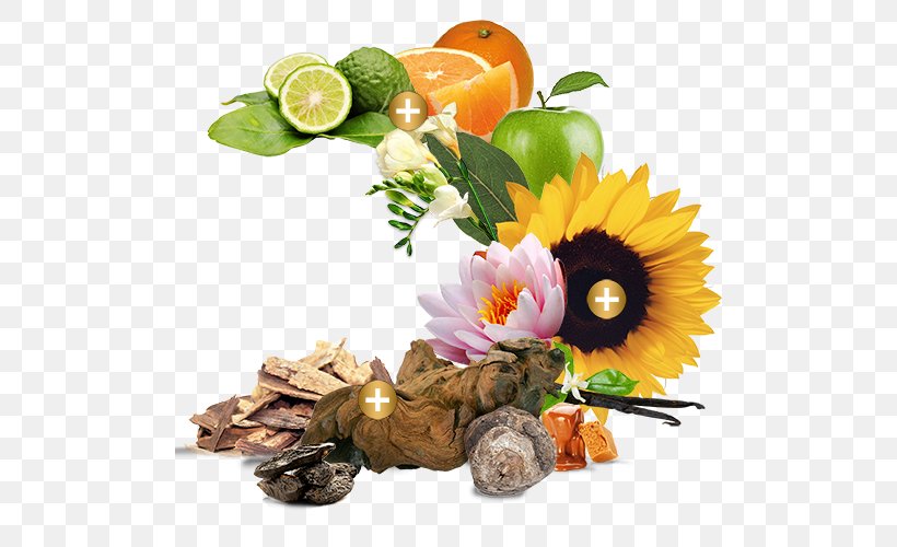 Floral Design Cut Flowers Vegetarian Cuisine Natural Foods, PNG, 500x500px, Floral Design, Common Sunflower, Cut Flowers, Floristry, Flower Download Free