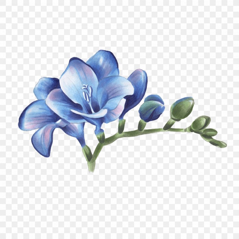 Freesia Abziehtattoo Cut Flowers, PNG, 2000x2000px, Freesia, Abziehtattoo, Blue, Botanical Illustration, Branch Download Free