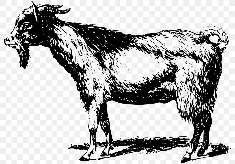 Goat Sheep Pig, PNG, 800x575px, Goat, Black And White, Cattle Like Mammal, Cow Goat Family, Drawing Download Free