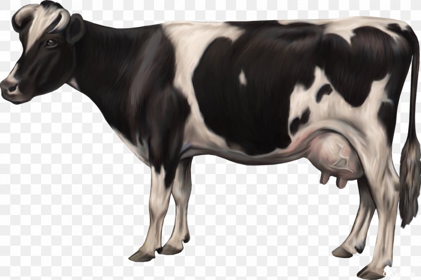 Cattle Ox Cow Clip Art, PNG, 1280x854px, Cattle, Blog, Bull, Cattle Like Mammal, Channel Download Free