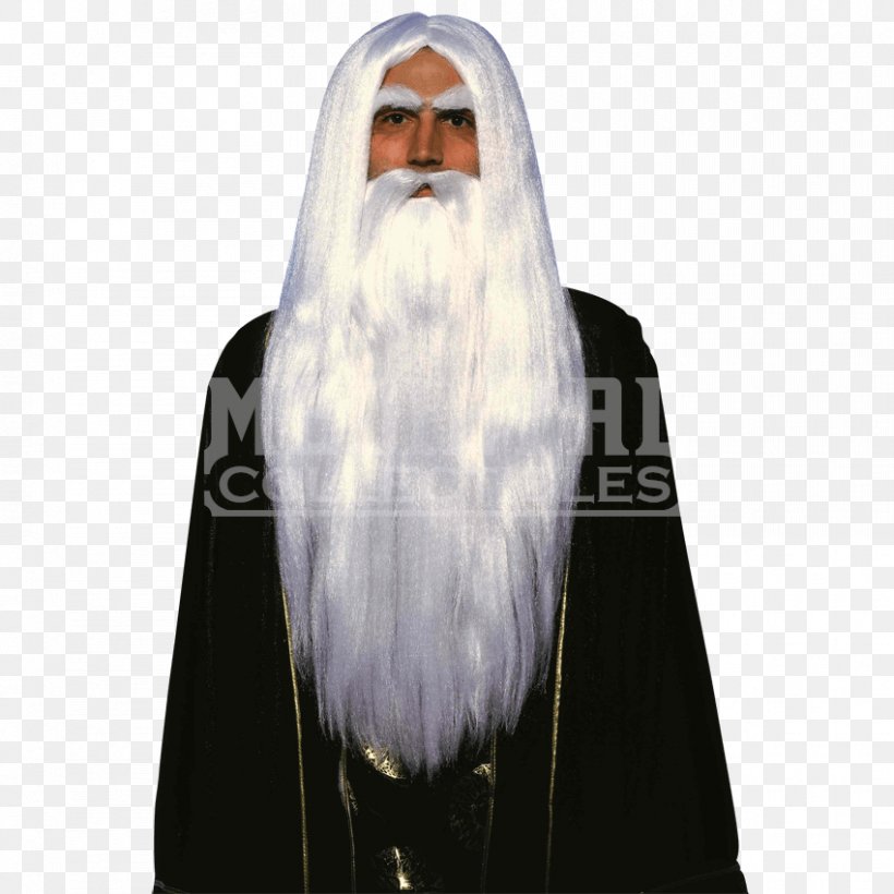 Gandalf Saruman Merlijn The Lord Of The Rings: The Fellowship Of The Ring Magician, PNG, 850x850px, Gandalf, Beard, Clothing, Clothing Accessories, Cosplay Download Free